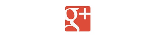 Google Plus icon